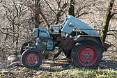 p1010219.jpg