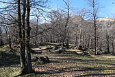 p1010229.jpg