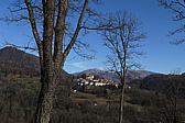 p1010230.jpg