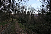 p1010259.jpg