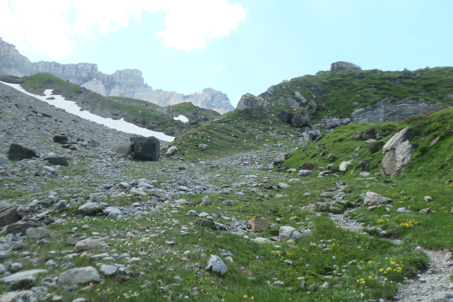 p1005509.jpg