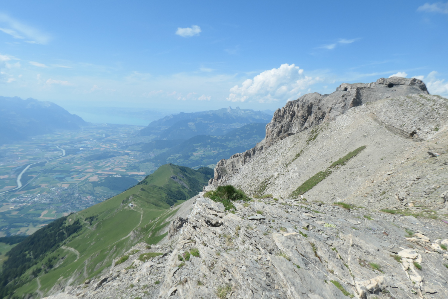 p1005517.jpg