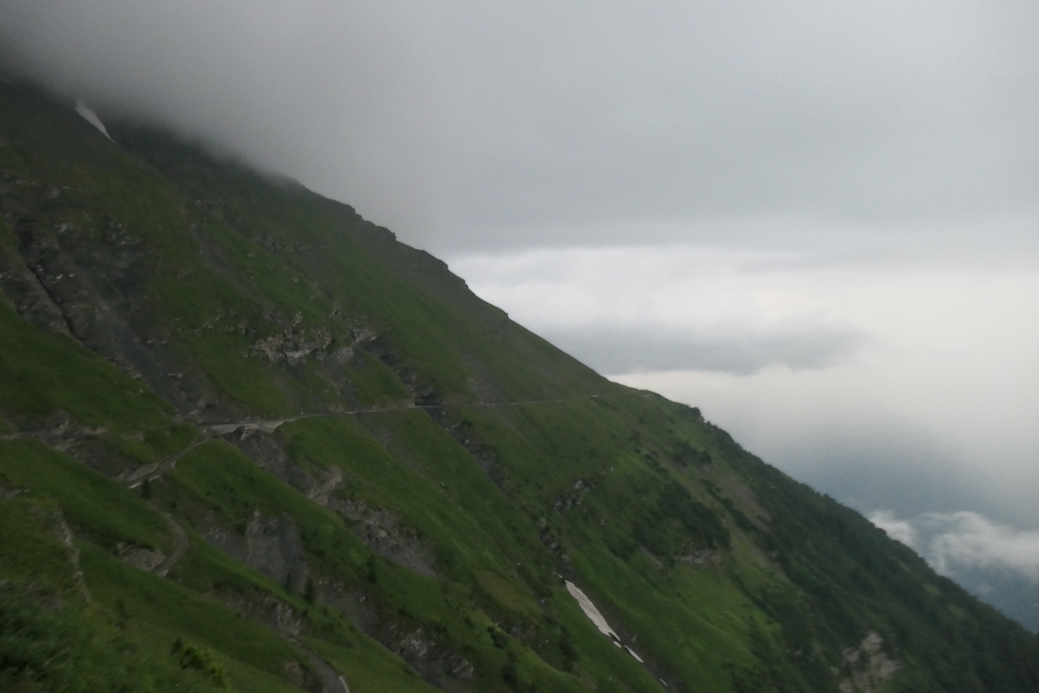p1005531.jpg