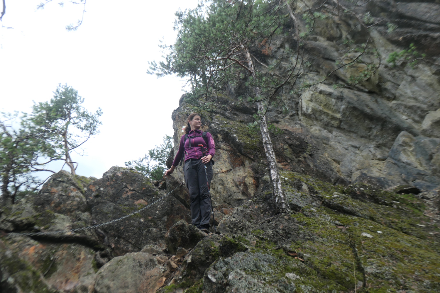 p1005538.jpg