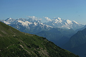 p1005528.jpg