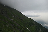 p1005531.jpg
