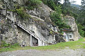 p1005534.jpg