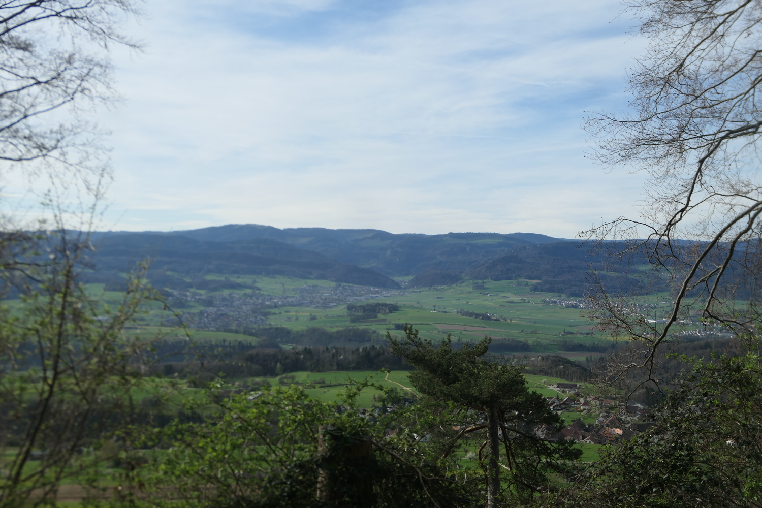 p1080568.jpg