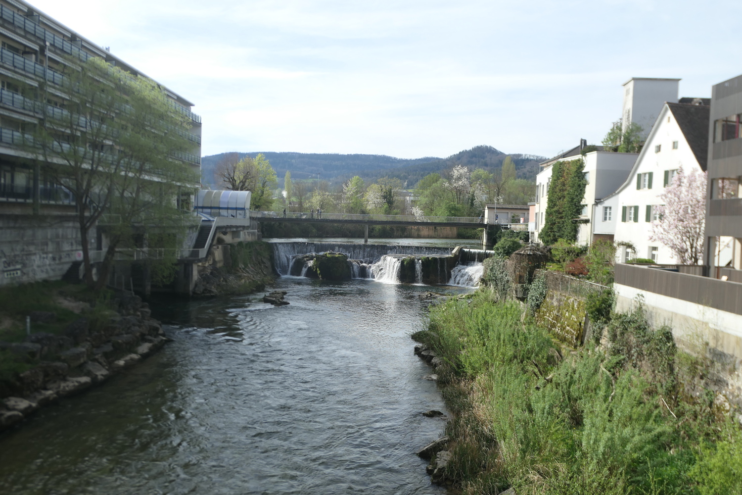 p1080569.jpg