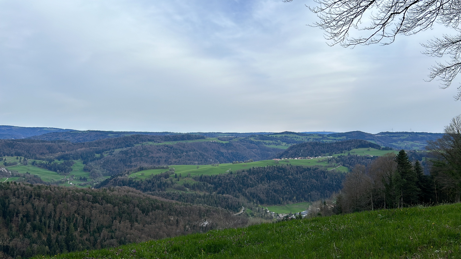 p1080584a.jpg
