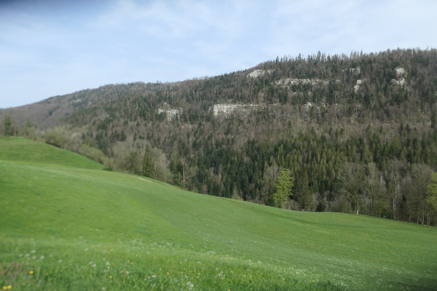 p1080590.jpg
