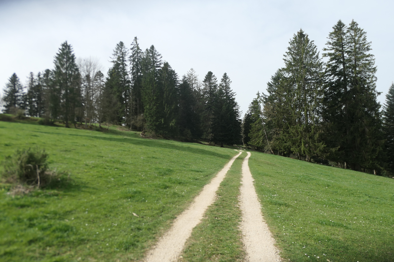 p1080594.jpg