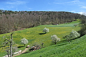 p1080575.jpg