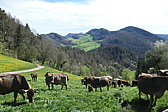 p1080577.jpg