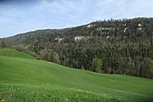 p1080590.jpg