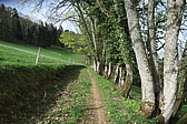 p1080591.jpg