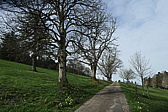 p1080592.jpg