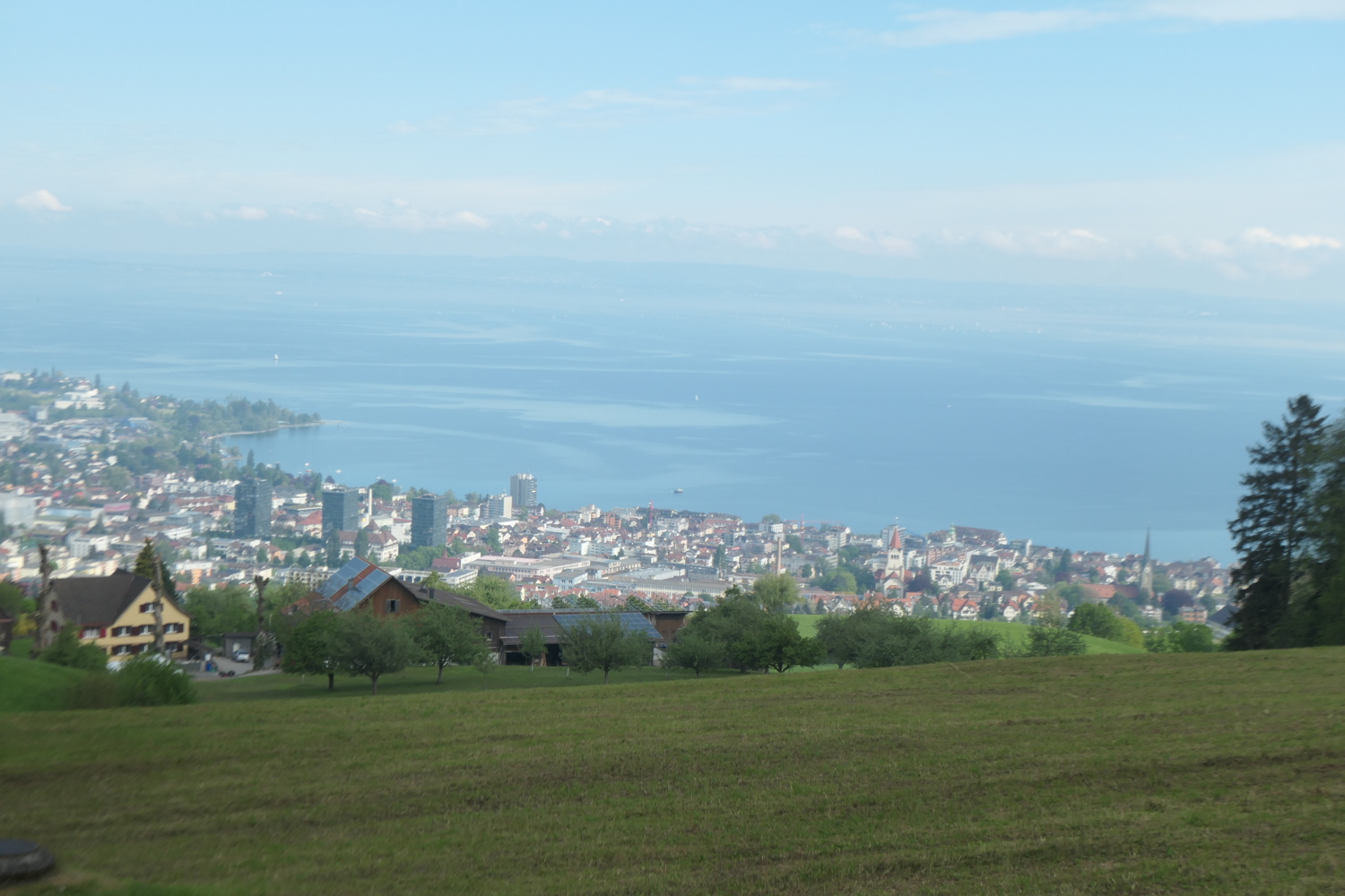 p1004683.jpg