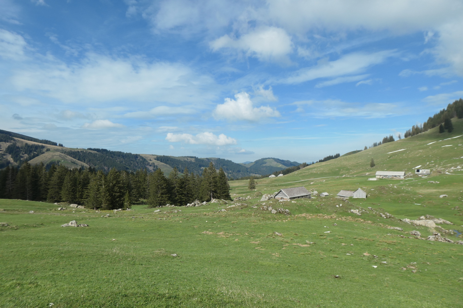 p1004703.jpg