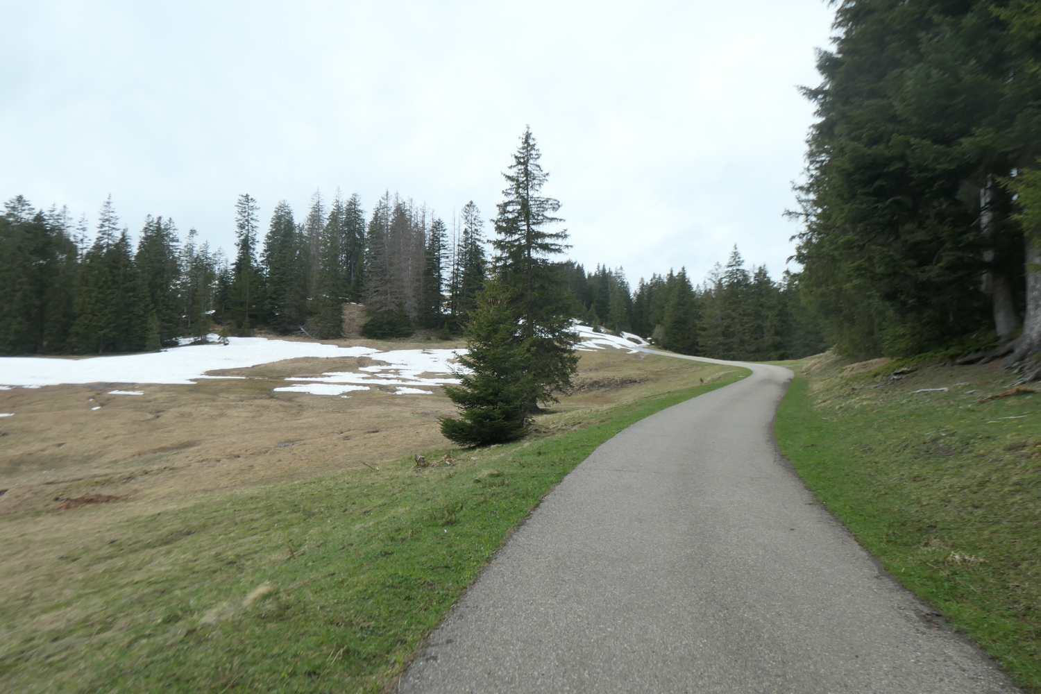 p1004725.jpg