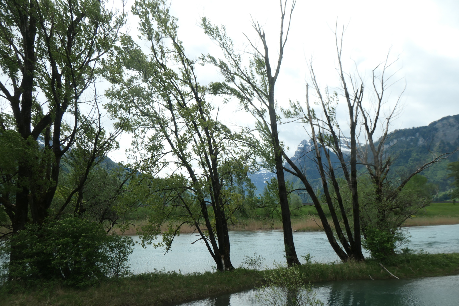 p1004733.jpg