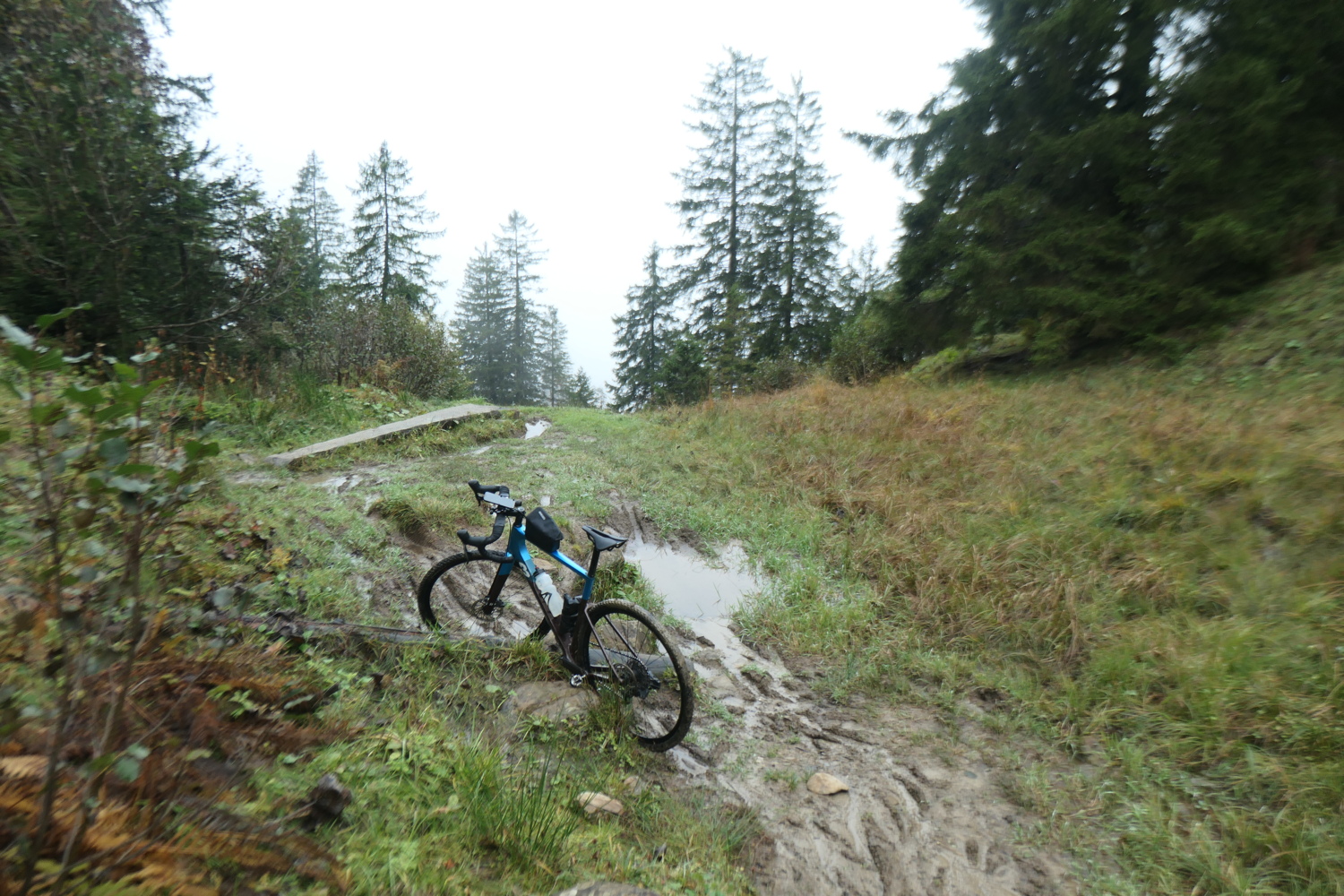 p1005863.jpg