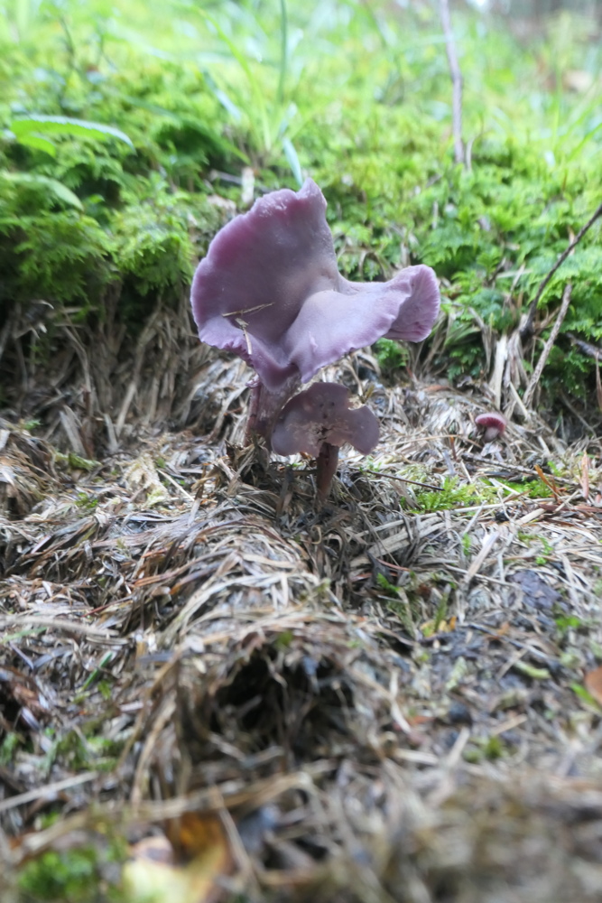 p1005867.jpg