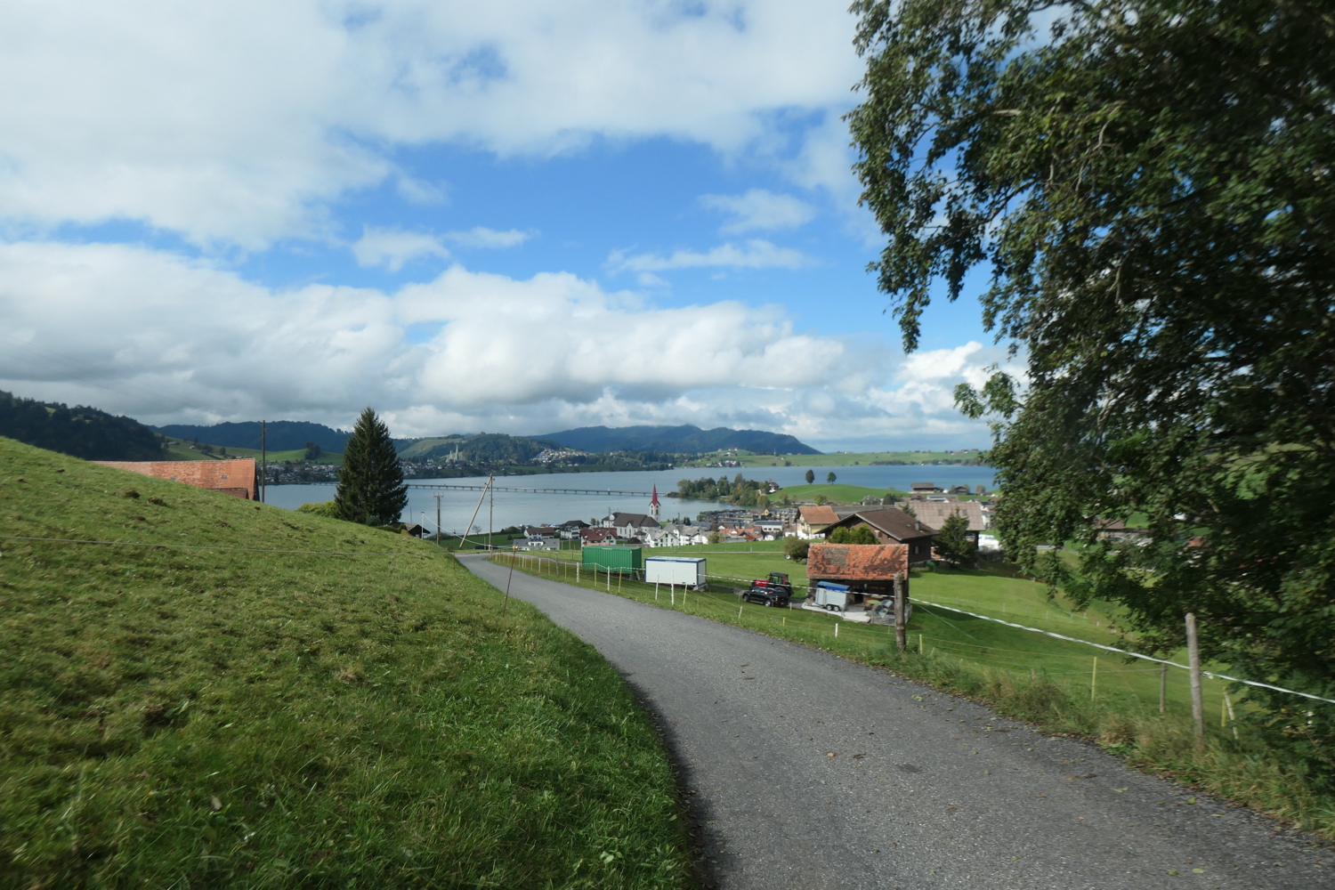 p1005873.jpg