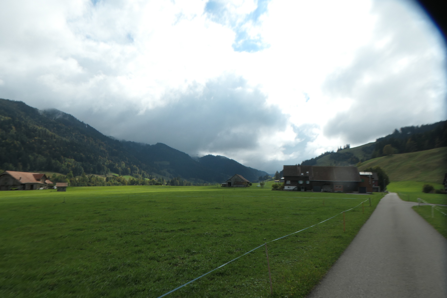 p1005883.jpg
