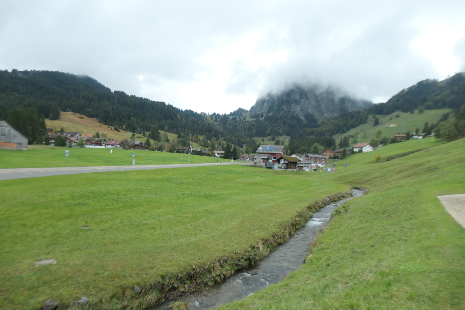p1005885.jpg