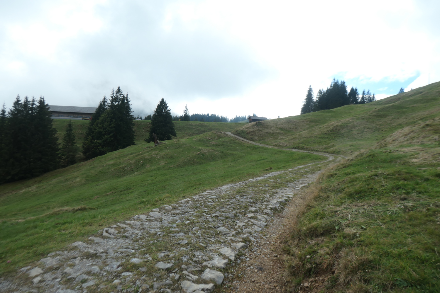p1005888.jpg