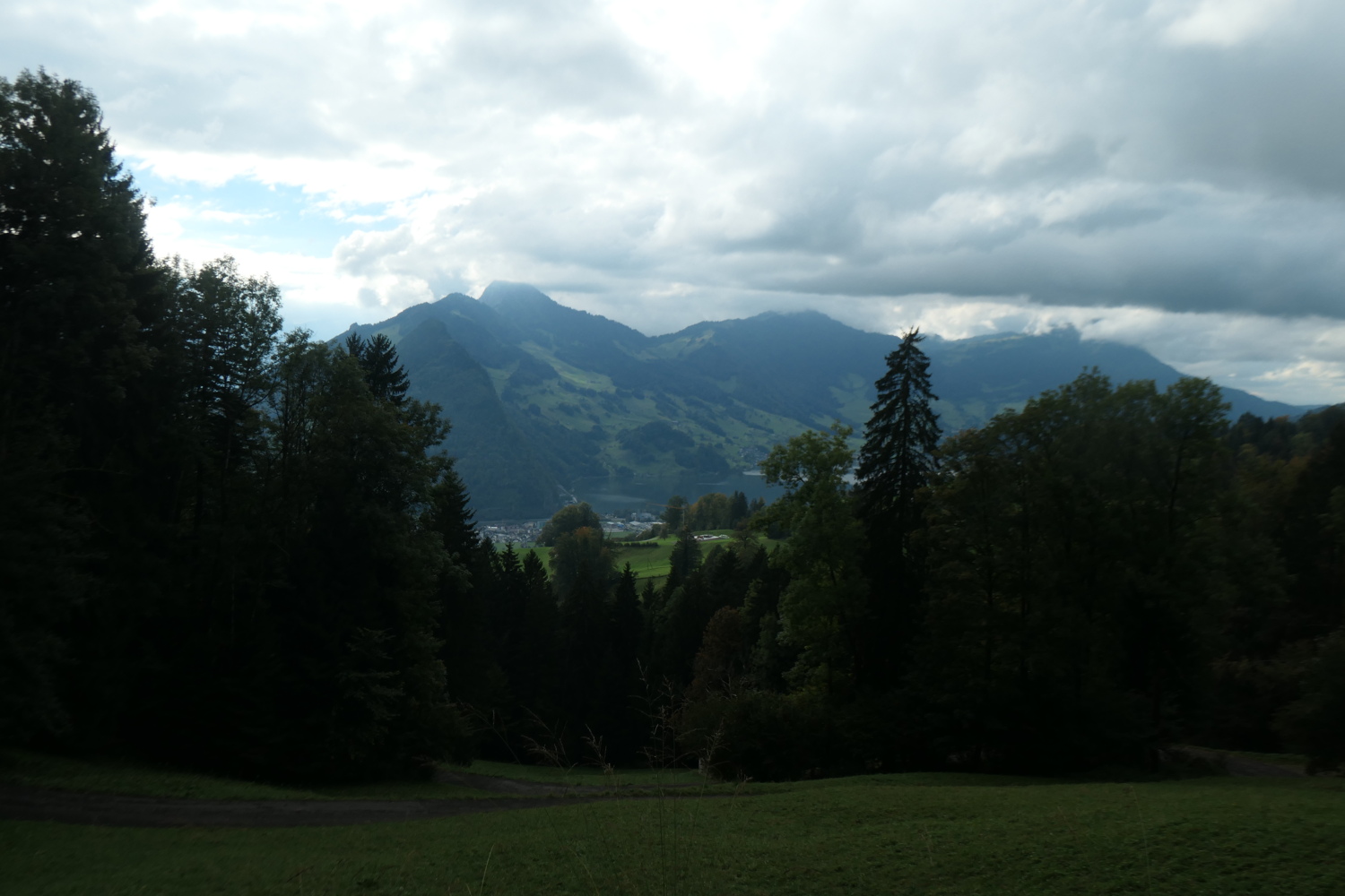 p1005889.jpg