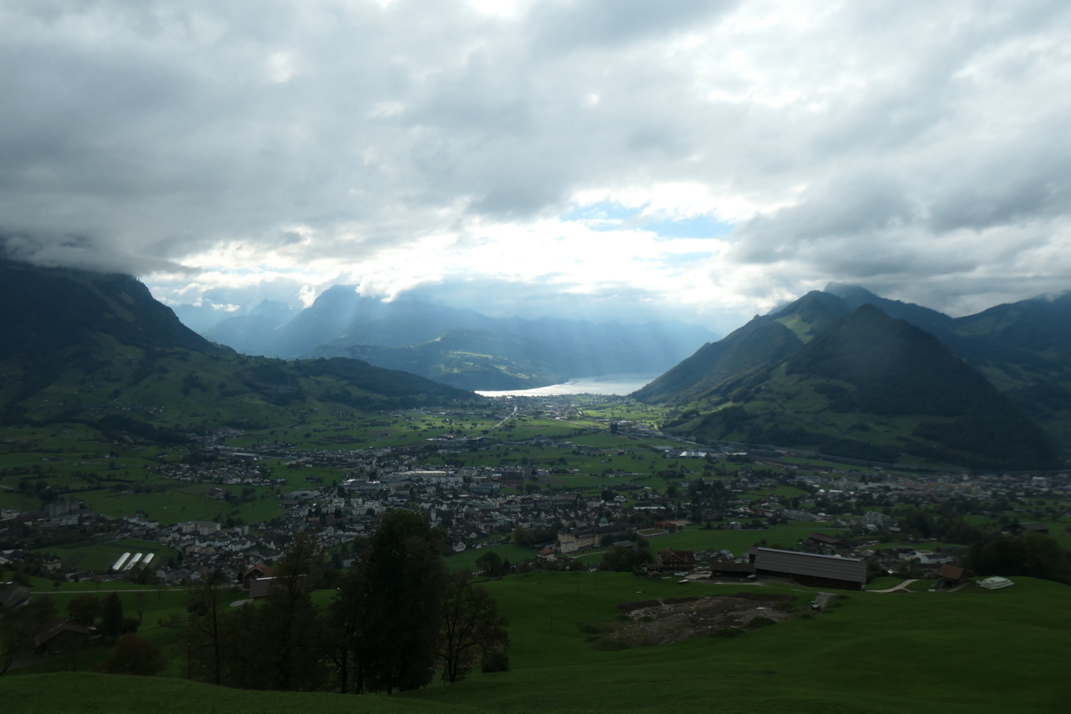 p1005890.jpg
