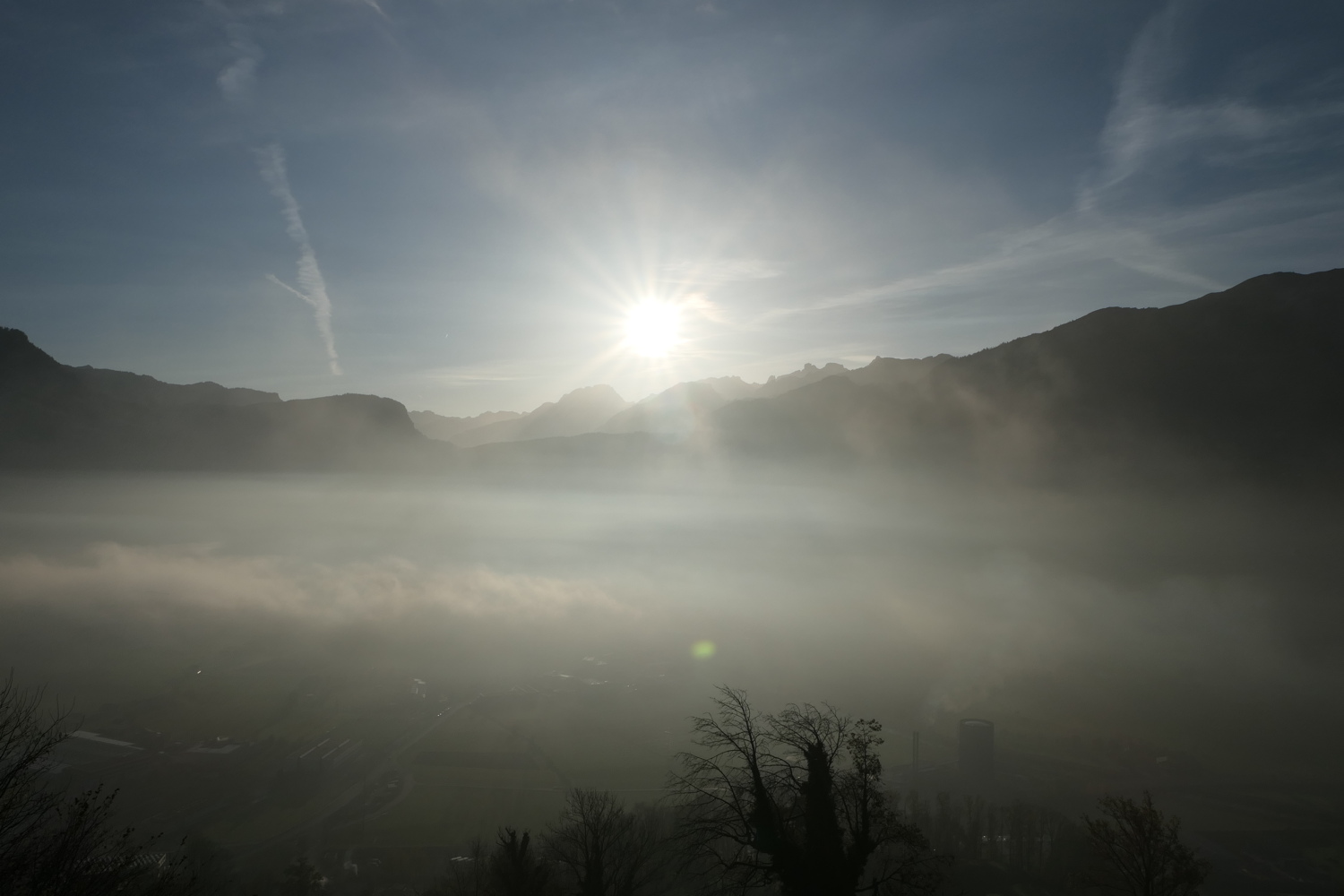 p1010003.jpg