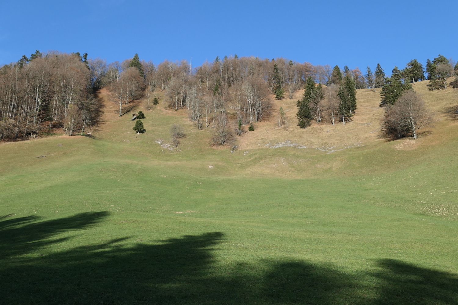 p1010005.jpg