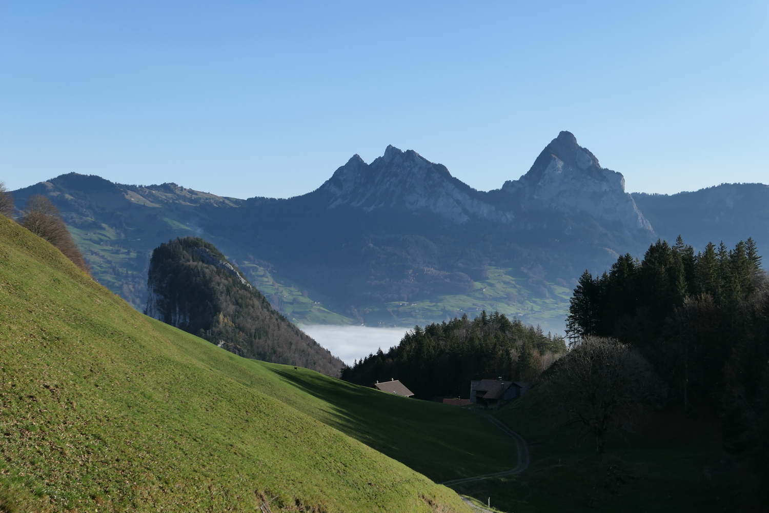 p1010006.jpg