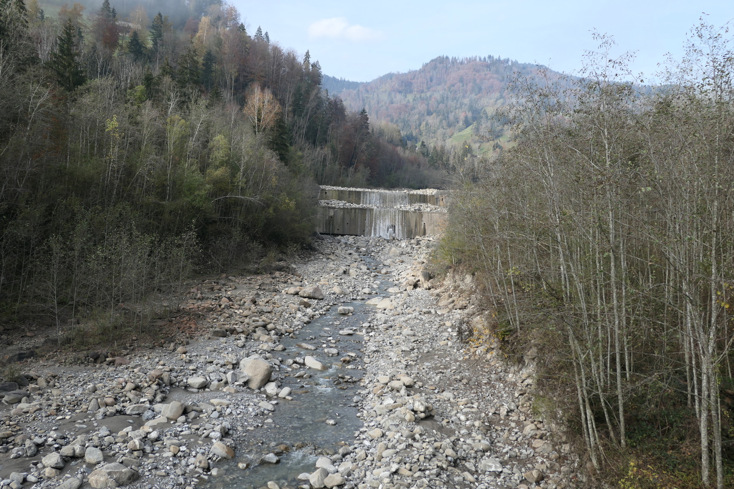 p1010020.jpg