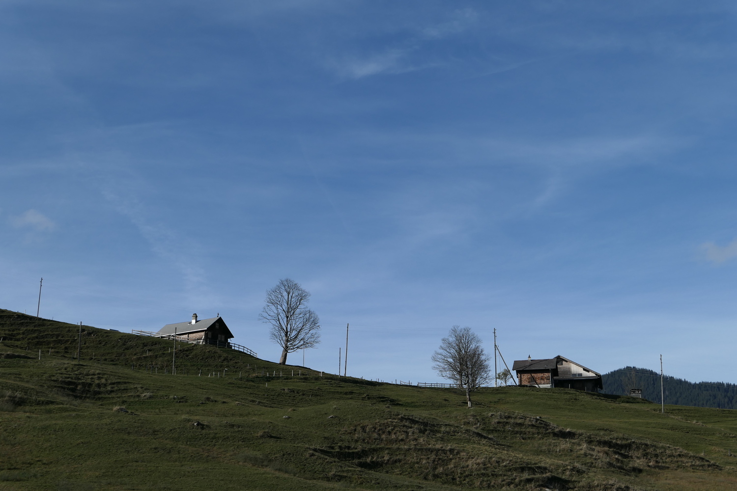 p1010024.jpg