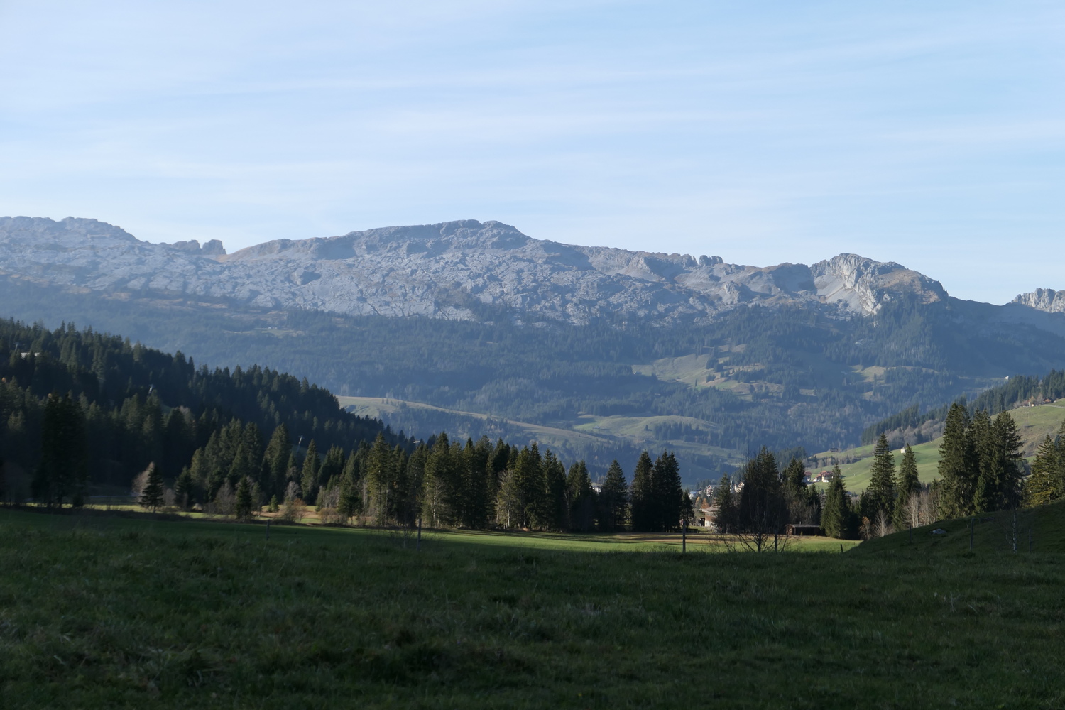 p1010033.jpg