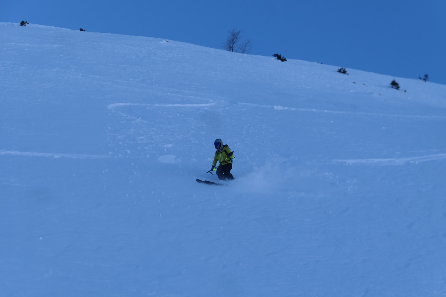 p1080443.jpg