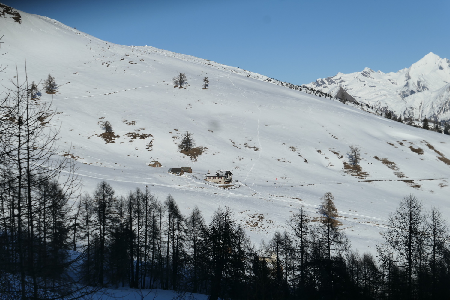 p1080446.jpg