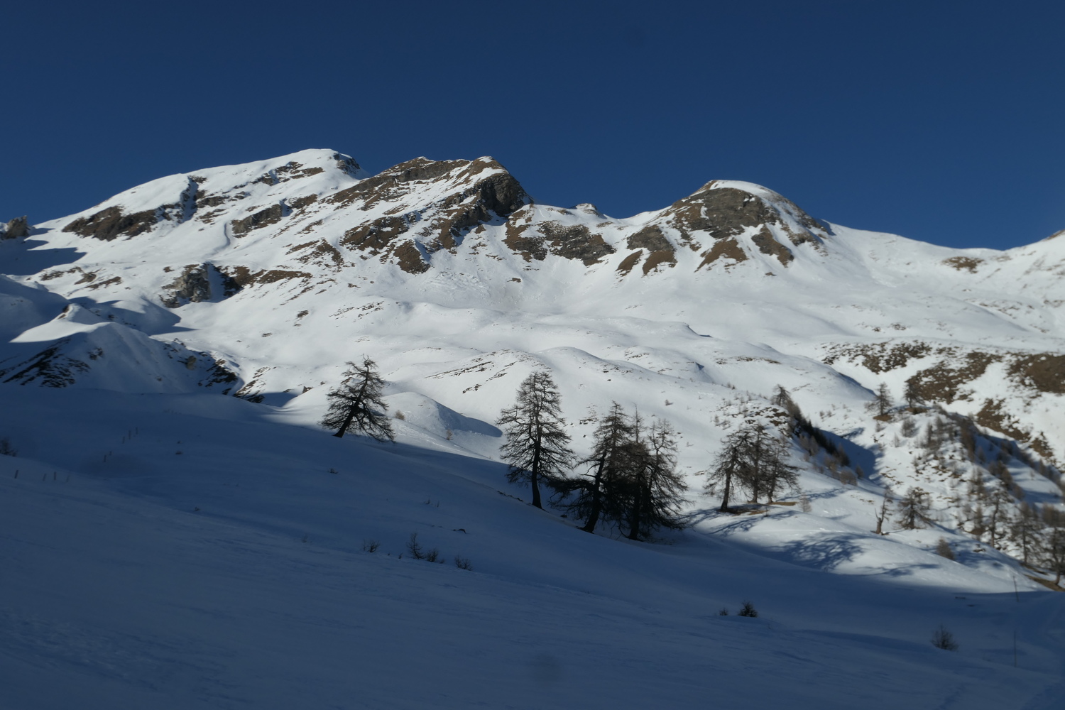 p1080447.jpg