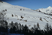 p1080446.jpg