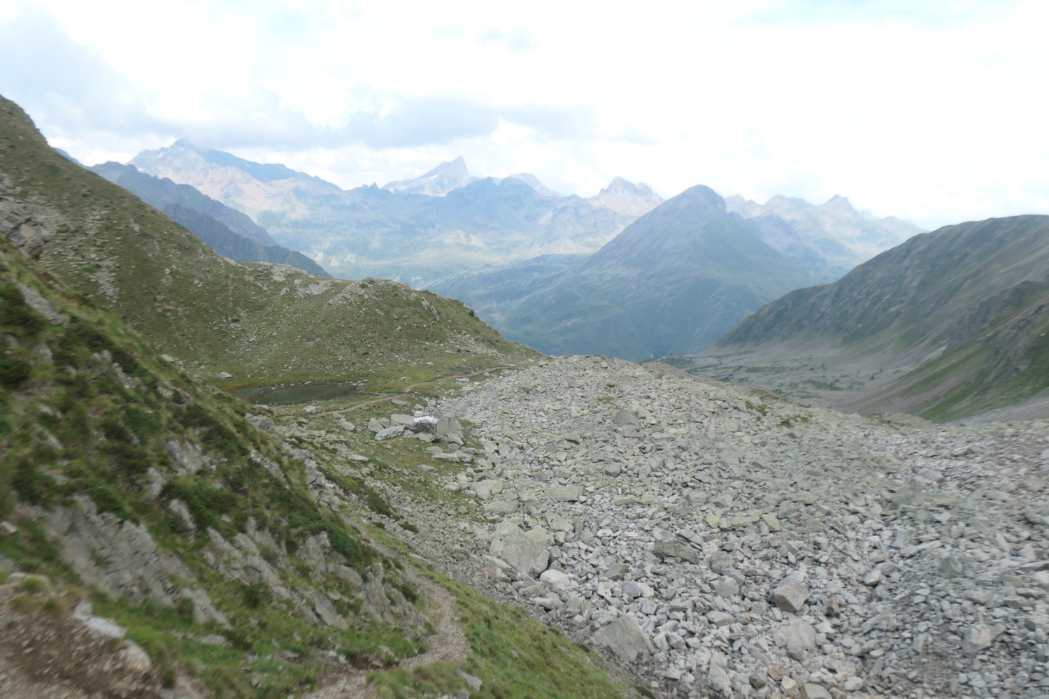 p1005561.jpg