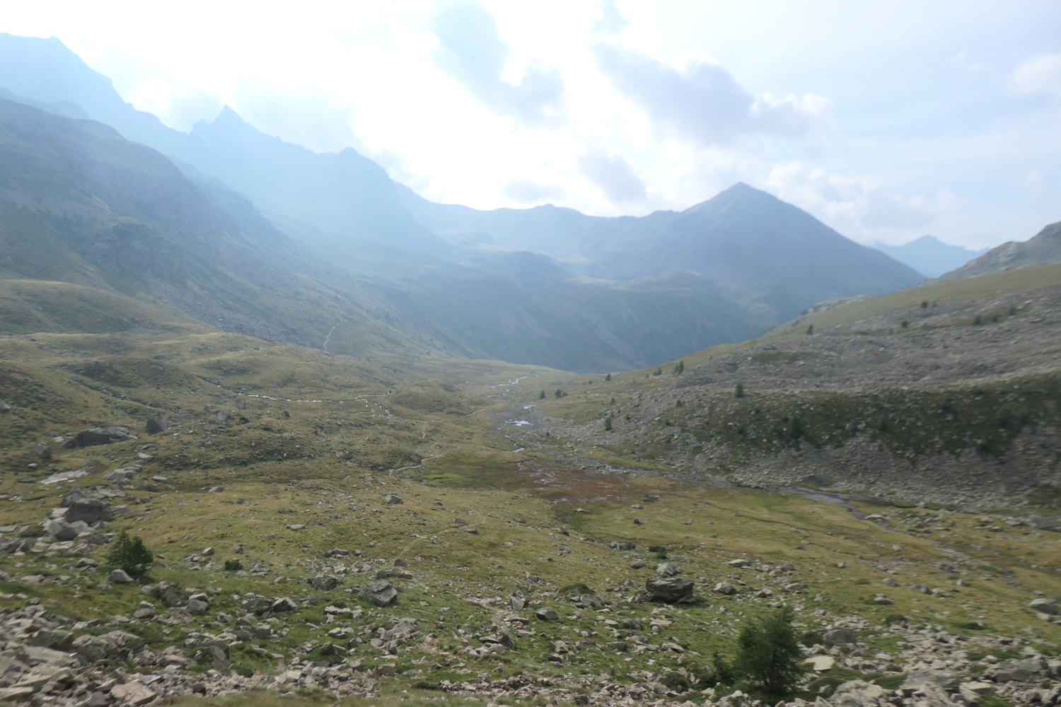 p1005584.jpg