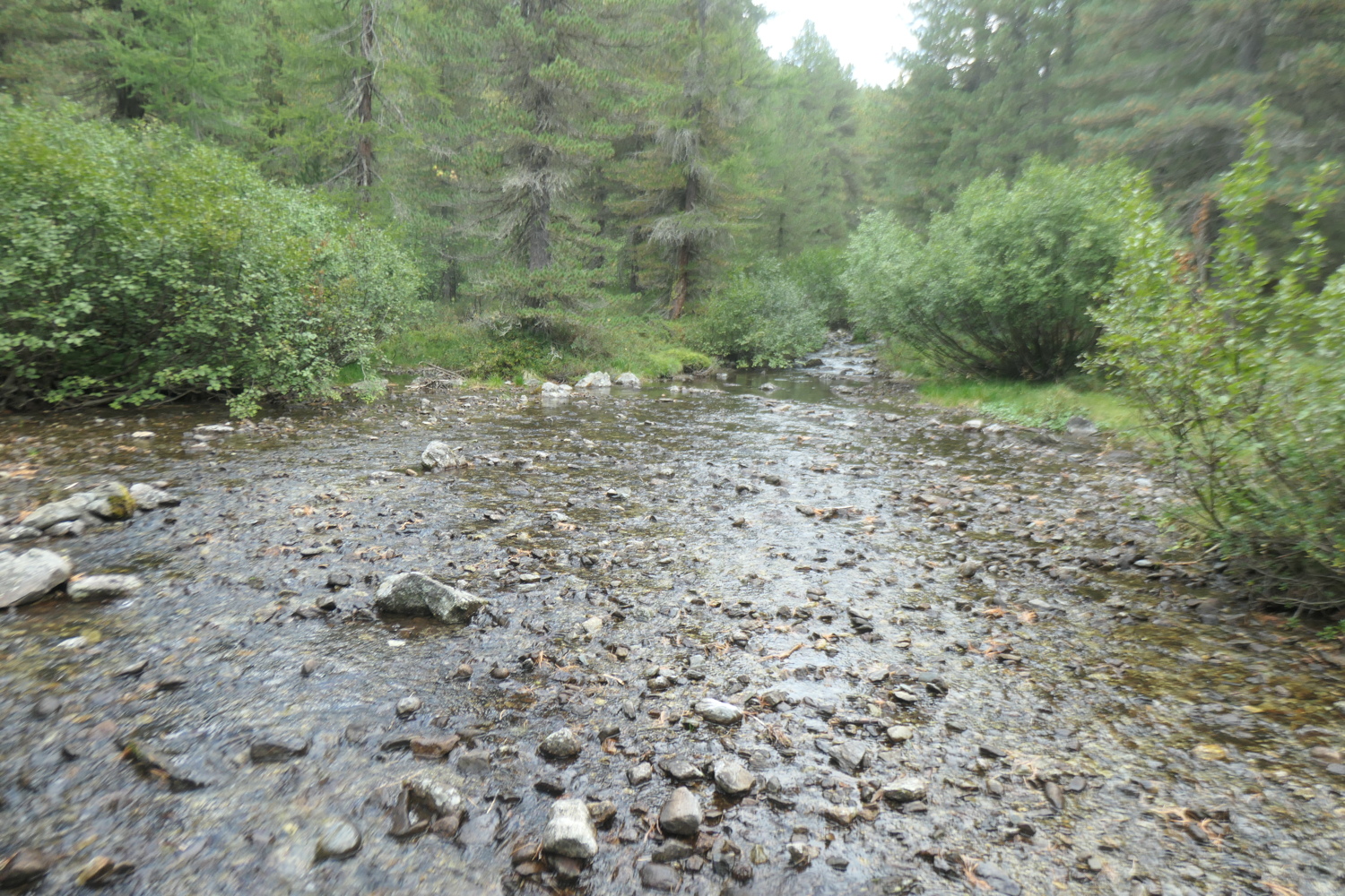 p1005597.jpg