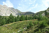 p1005553.jpg