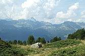 p1005554.jpg