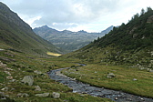 p1005570.jpg