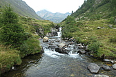 p1005573.jpg